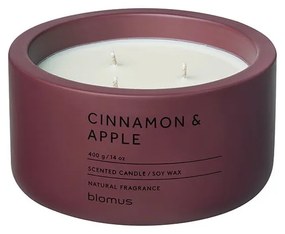 Vonná sójová sviečka doba horenia 25 h Fraga: Cinnamon &amp; Apple – Blomus