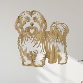 dřevo života Drevený obraz Havanský psík (Havanese) Rozmery - cm: 57x60, Zvoľte farbu dekoru: Dub zlatý