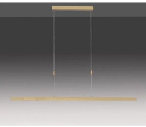 Paul Neuhaus 2568-60 - LED Stmievateľný luster na lanku ADRIANA LED/14W/230V mosadz