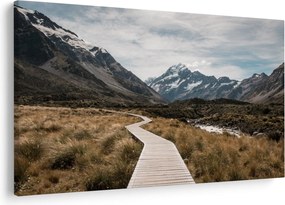 Obraz - Chodník v údolí hory Mt. Cook (90x60 cm)
