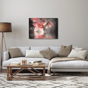 Sklenený obraz - Kvety a motýľ (70x50 cm)