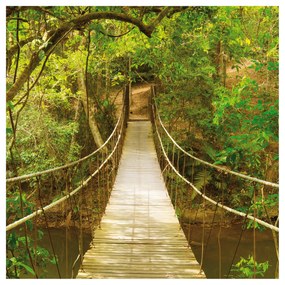 Fototapeta  Most v džungli