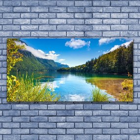 Obraz plexi Hory les príroda jazero 120x60 cm