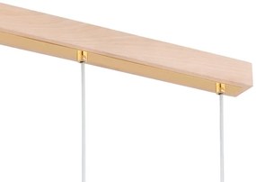 Luster na lanku EVIC 3xE27/60W/230V