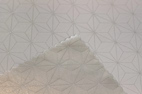 Dekorstudio Luxusný obrus na stôl Stars - strieborný SW18 Rozmer obrusu (šírka x dĺžka): 120x200cm