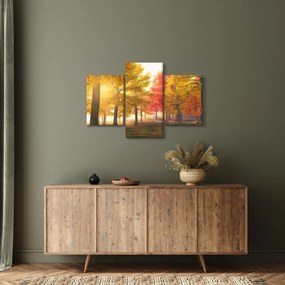 Obraz jesenných stromov (90x60 cm)