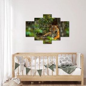 Obraz odpočívajúceho tigra (150x105 cm)