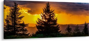 Obraz - ihličnany (120x50 cm)