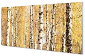 Sklenený obraz jesenné stromy 100x50 cm