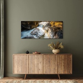 Obraz - Lesný potok (120x50 cm)