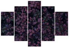 Obraz tmavočervených lístočkov (150x105 cm)