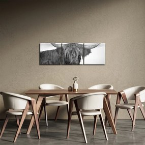 Obraz - Škótska krava 2, čiernobiela (s hodinami) (90x30 cm)
