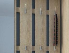 Predsieňová stena Vincent, dub sonoma/biela