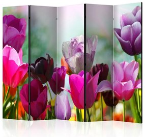 Artgeist Paraván - Beautiful Tulips II [Room Dividers]
