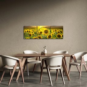 Obraz - Slnečnica pri západe slnka (s hodinami) (90x30 cm)
