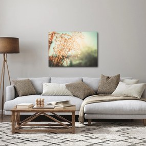 Obraz - Rastliny po daždi (70x50 cm)