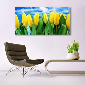 Obraz na akrylátovom skle Tulipány kvety 120x60 cm