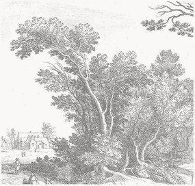 Vliesová tapeta Engraved Landscapes V