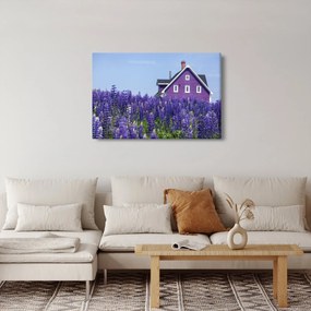 Obraz levanduľového poľa (90x60 cm)