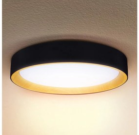 Brilagi-LED Stmievateľné svietidlo LARIOS LED/60W/230V 3000-6500K ø 49 cm čierna+DO BG1339