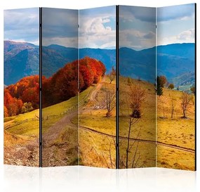 Paraván - Autumn landscape in the Carpathian mountains II [Room Dividers]