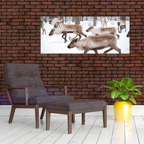 Obraz - Soby (120x50 cm)