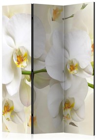 Artgeist Paraván - Orchid Branch [Room Dividers]