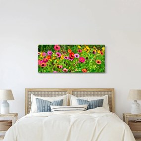 Obraz lúčnych kvetov (120x50 cm)