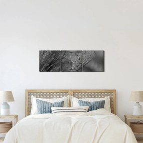 Obraz - Sušená pampová tráva (s hodinami) (90x30 cm)