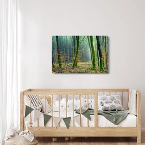 Obraz lesa (90x60 cm)