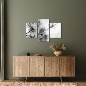 Obraz - Čiernobiele kvety (90x60 cm)