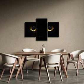 Obraz - Mačacie oči (90x60 cm)