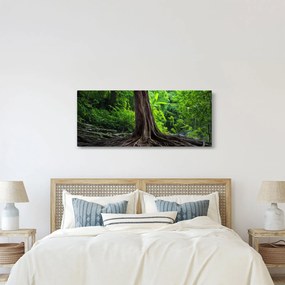 Obraz - Starý strom s koreňmi (120x50 cm)