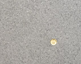 Lentex, PVC podlaha - lino Flexar PUR 542-01 sv. šedá, na mieru, šíře 2m,4m, šedá, bez podkladu, kancelária