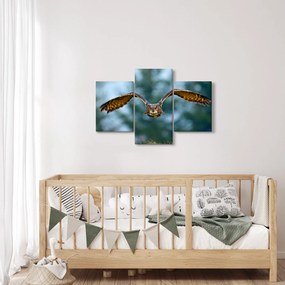 Obraz - Sova pri lete (90x60 cm)