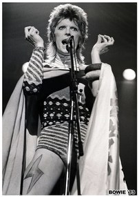 Plagát, Obraz - David Bowie - Ziggy Stardust 1973, (59.4 x 84.1 cm)