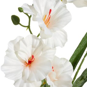 Dekoračný kvet 80 cm ,s kvetmi 40 cm ,priemer kvetu 9 cm krémová