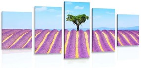 5-dielny obraz provensálske levanduľové pole - 200x100