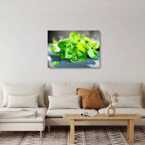 Sklenený obraz mäty (70x50 cm)