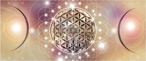 Obraz - Mandala s elementmi (120x50 cm)