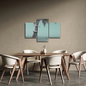 Obraz - Palma v Karibiku (90x60 cm)