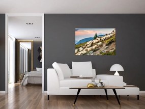 Obraz - Stádo oviec (90x60 cm)