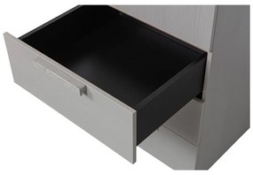 Sivá modulárna skriňa 55x210 cm Rens – WOOOD