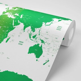 Samolepiaca tapeta mapa sveta s jednotlivými štátmi v zelenej farbe - 225x150