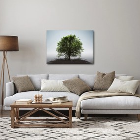 Obraz - Osamotený strom (70x50 cm)