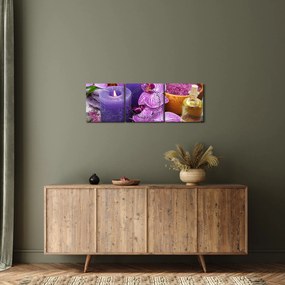 Obraz orchideí a sviečok (s hodinami) (90x30 cm)