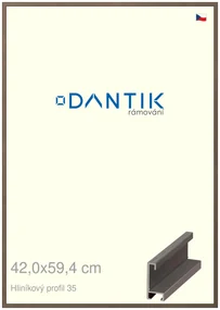 DANTIK rám na obraz 42x59,4 | ALU Hnědá tmavá (Plexi Čiré)