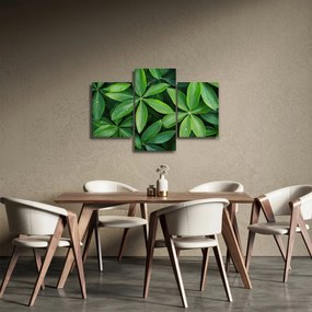 Obraz - Listy s kvapkami rosy (90x60 cm)
