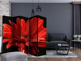 Paraván - Red gerbera flower II [Room Dividers]