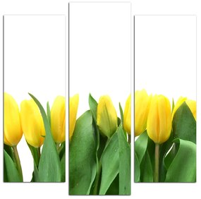 Obraz na plátne - Žlté tulipány - štvorec 303C (75x75 cm)